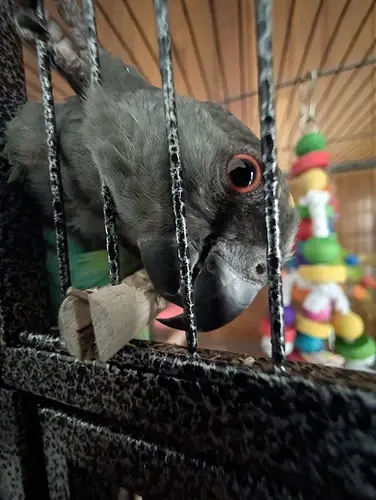 PXL_20260225_213838143.RAW-01.COVER