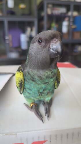 470958281_1238841440967273_6280769427790676467_n