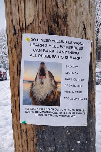 FB_IMG_1774374091593