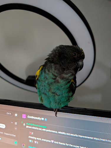 PXL_20260308_164438532.RAW-01.COVER